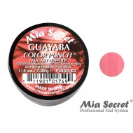Color Punch Acryl-Pulver Guayaba