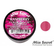 Color Punch Acryl-Pulver Raspberry