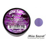 Color Punch Acryl-Pulver Plum