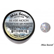 Galaxy Acryl-Pulver Silver Moon