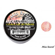 Carnaval Acryl-Pulver Carnaval