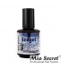 ICE Gel top-coat